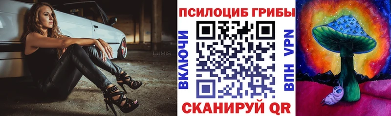 Псилоцибиновые грибы Magic Shrooms  Купить закладки  Сусуман 